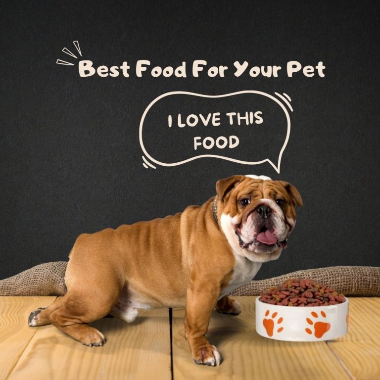 Home Diet for Obese Dogs